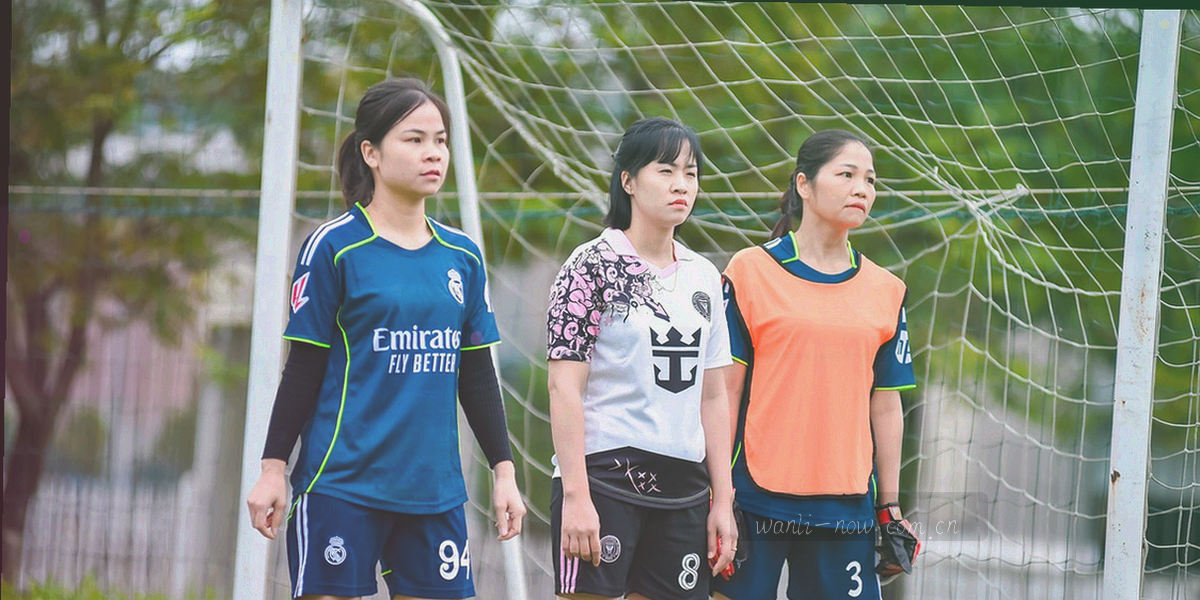 信息在会员注册、服务交付与安全留存三个环节之间流动的抽象纹理示意